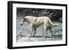 Champion Borzoi-null-Framed Art Print