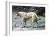 Champion Borzoi-null-Framed Art Print