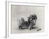 Champion Nanking Wenti Owned by Andrew-null-Framed Photographic Print