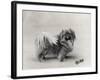 Champion Nanking Wenti Owned by Andrew-null-Framed Photographic Print