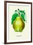 Champion Pears-null-Framed Art Print