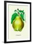 Champion Pears-null-Framed Art Print