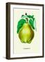 Champion Pears-null-Framed Art Print