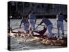 Champions Regatta on Gondolini During the Regata Storica 2009, Venice, Veneto, Italy, Europe-Carlo Morucchio-Stretched Canvas