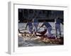 Champions Regatta on Gondolini During the Regata Storica 2009, Venice, Veneto, Italy, Europe-Carlo Morucchio-Framed Photographic Print