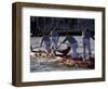 Champions Regatta on Gondolini During the Regata Storica 2009, Venice, Veneto, Italy, Europe-Carlo Morucchio-Framed Photographic Print