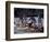 Champions Regatta on Gondolini During the Regata Storica 2009, Venice, Veneto, Italy, Europe-Carlo Morucchio-Framed Photographic Print