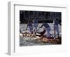 Champions Regatta on Gondolini During the Regata Storica 2009, Venice, Veneto, Italy, Europe-Carlo Morucchio-Framed Photographic Print