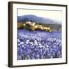 Champs D'Iris, Provence-Hazel Barker-Framed Art Print