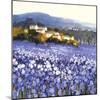 Champs D'Iris, Provence-Hazel Barker-Mounted Art Print