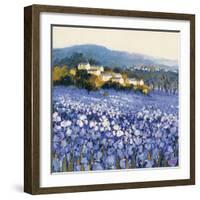 Champs D'Iris, Provence-Hazel Barker-Framed Art Print