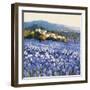 Champs D'Iris, Provence-Hazel Barker-Framed Art Print