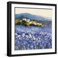 Champs D'Iris, Provence-Hazel Barker-Framed Art Print