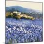 Champs D'Iris, Provence-Hazel Barker-Mounted Art Print