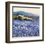 Champs D'Iris, Provence-Hazel Barker-Framed Art Print