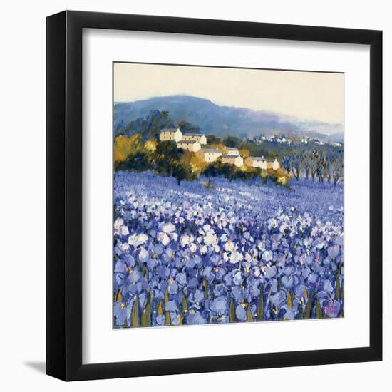 Champs D'Iris, Provence-Hazel Barker-Framed Art Print