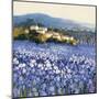 Champs D'Iris, Provence-Hazel Barker-Mounted Art Print