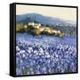 Champs D'Iris, Provence-Hazel Barker-Framed Stretched Canvas