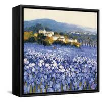 Champs D'Iris, Provence-Hazel Barker-Framed Stretched Canvas