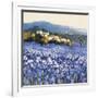 Champs D'Iris, Provence-Hazel Barker-Framed Premium Giclee Print