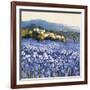 Champs D'Iris, Provence-Hazel Barker-Framed Premium Giclee Print