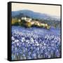 Champs D'Iris, Provence-Hazel Barker-Framed Stretched Canvas