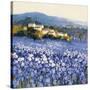 Champs D'Iris, Provence-Hazel Barker-Stretched Canvas