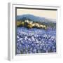 Champs D'Iris, Provence-Hazel Barker-Framed Premium Giclee Print