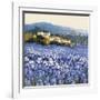 Champs D'Iris, Provence-Hazel Barker-Framed Art Print