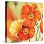 Champs de coquelicots I-Pierre Viollet-Stretched Canvas