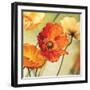 Champs de coquelicots II-Pierre Viollet-Framed Art Print