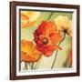 Champs de coquelicots II-Pierre Viollet-Framed Art Print