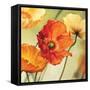 Champs de coquelicots II-Pierre Viollet-Framed Stretched Canvas