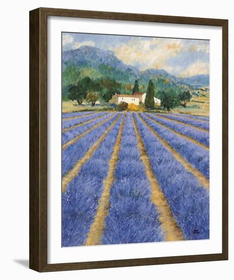 Champs De Lavande-Hazel Barker-Framed Giclee Print