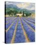 Champs De Lavande-Hazel Barker-Stretched Canvas