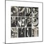 Champs Délicieux - Album de Photographies-Man Ray-Mounted Premium Giclee Print
