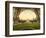 Champs De Mars, Exposition Universal, Paris, France, C.1890-C.1900-null-Framed Giclee Print