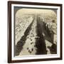 Champs Elysees from the Arc De Triomphe, Paris, France, 19th Century-Underwood & Underwood-Framed Photographic Print