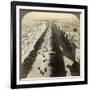 Champs Elysees from the Arc De Triomphe, Paris, France, 19th Century-Underwood & Underwood-Framed Photographic Print