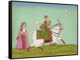 Chand Bibi Hawking-null-Framed Stretched Canvas