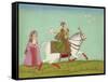 Chand Bibi Hawking-null-Framed Stretched Canvas