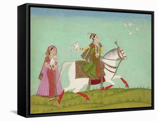 Chand Bibi Hawking-null-Framed Stretched Canvas