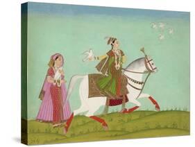 Chand Bibi Hawking-null-Stretched Canvas