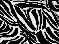 Zebra Animal Print For Backgrounds And Textures-chandanaroy-Framed Art Print