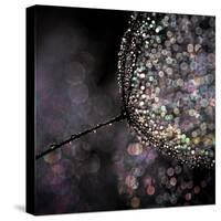 Chandelier-Ursula Abresch-Stretched Canvas