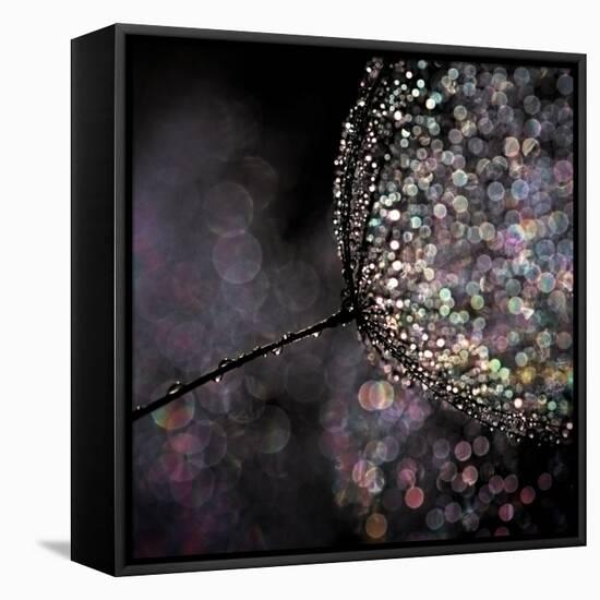 Chandelier-Ursula Abresch-Framed Stretched Canvas