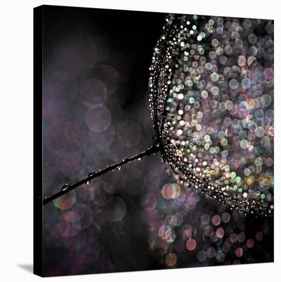 Chandelier-Ursula Abresch-Stretched Canvas