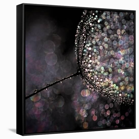 Chandelier-Ursula Abresch-Framed Stretched Canvas