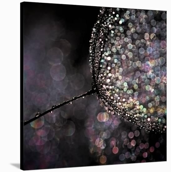 Chandelier-Ursula Abresch-Stretched Canvas