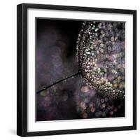 Chandelier-Ursula Abresch-Framed Premium Photographic Print